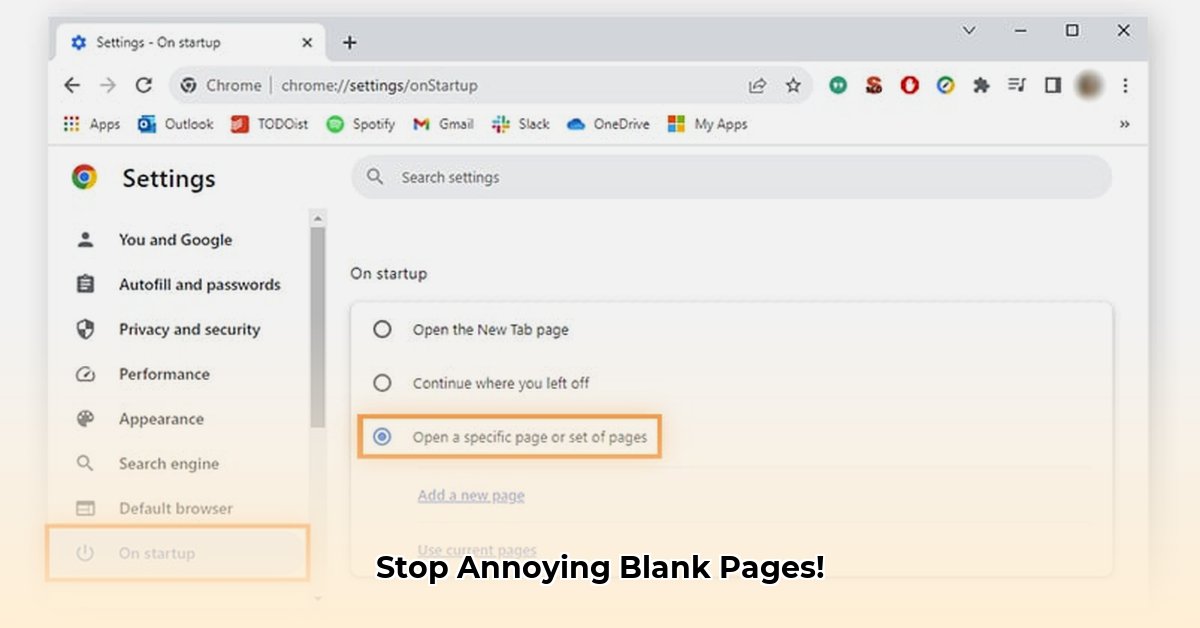 abouy-blank
